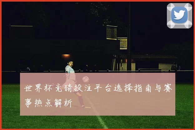 世界杯竞猜投注平台选择指南与赛事热点解析